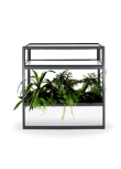 Vitrine com Floreira + plantas