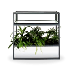 Vitrine com Floreira + plantas