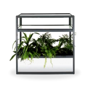 Vitrine com Floreira + plantas